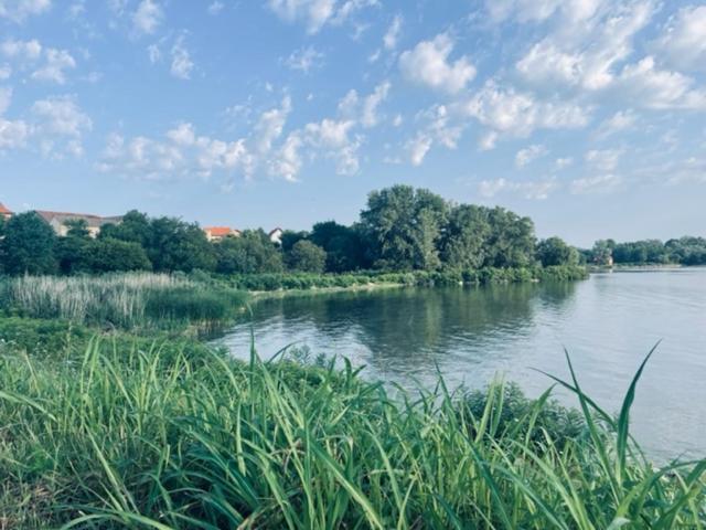 Sobe Djurdjevic Hotel Zatonje Luaran gambar